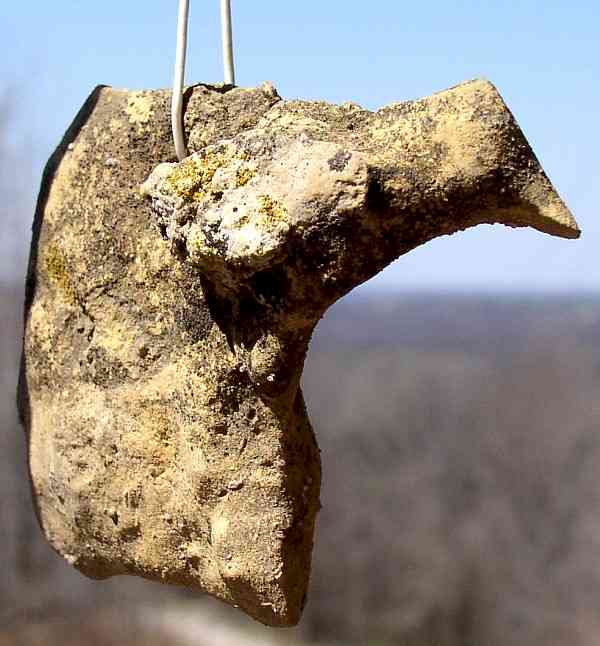 Bird Pendant - Artifact from Day's Knob Archaeological Site