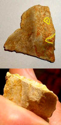 50,000 Years Old? - Pre-Clovis Artifact from Topper Archaeological Site