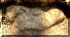 BS037_01.jpg (31376 bytes)