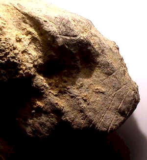 Figure Stone from 33GU218 Archaeological Site