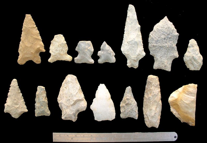 Early-to-Middle Archaic Points - Terry Deal Finds, North Carolina