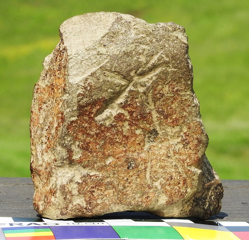 Standing Deer Petroglyph at 33GU218